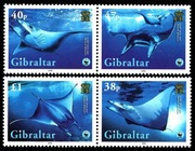 Fauna WWF ryby 1150 -3 ** 