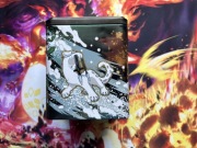 Pusta puszka Pokemon 