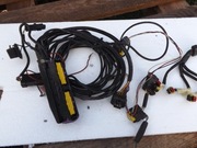 wiązka przewododów eGAS, eG@S sly injection