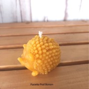 Świeca jeżyk z prawdziwego wosku pszczelego