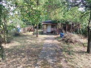 Działka ROD na terenie ogródków działkowych Warszawa Żerań