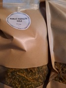 Nawłoć kwiatostany susz