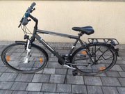 Rower treningowy Pegasus Piazza 