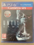 Until Down PS4 NOWA w folii
