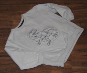 *LITTLE KIDS* bluza dinozaur 98 104