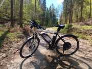 Rower elektryczny Hercules Icona Cross  29 "  250 W 48V  20,3 Ah
