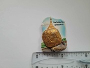 Magnes na lodówkę  - 245f. MYANMAR Birma