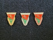 Lublinianka Lublin komplet odznak woj. lubelskie