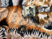 Quickshot QS 113 Commodore 