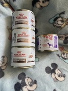 Karma Royal Canin Veterinary Gastrointestinal oraz 4Vets 