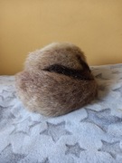 Czapka / toczek/damska z nutrii