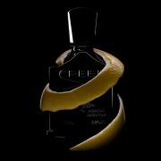 Creed aventus absolu 