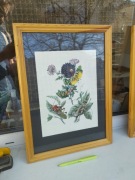 Piękna stara grafika z kwiatami, liśćmi i motylami