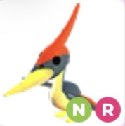 Pterodactyl NR - Adopt Me Roblox