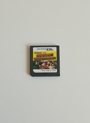 Donkey Kong Jungle Climber na Nintendo DS wydanie japońskie