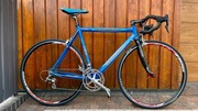 Rower szosowy Author A5503 Campagnolo Chorus 