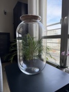 Wazon szklany słój Balon L H42 + przykrywka korkow