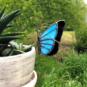 Witraż Tiffany Prezent Niebieski  z czarnym motyl