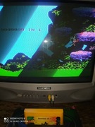 ORYGINALNY CARTRIDGE PEGAZUS 9999999 IN 1