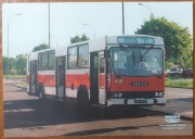 JELCZ 120 M - 30 LAT MZK PABIANICE