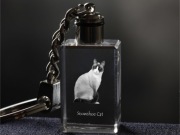 Snowshoe Cat brelok sześcienny Świecący