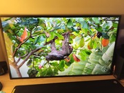 ProLite LH4342UHS-B3 4K 60Hz Android