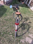 Rower damski Senator