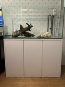 Zestaw Akwarium + Szafka + filtr