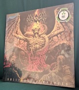 Vader-Solitude in Madness 