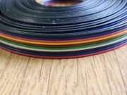 Kabel Taśma 10 żyłowa 4.50 Metrów Długość