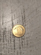 moneta 1 grosz 1995 rok