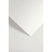 Papier ozdobny Galeria Sawanna biały 200g/m2