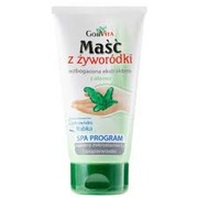 Gorvita maść z żyworódki z ekstraktem z aloesu, 130 ml 