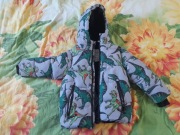 kurtka Dinozaury r 104 Cool club