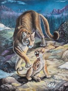 Obraz olejny ręcznie malowany pt. Pumy