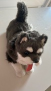 Liżący piesek interaktywny- HUSKY