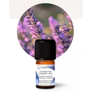 Olejek eteryczny lawenda organiczny Florihana 5g Lavandin Vera Organic