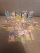 European championship stars 1996 karty legend cena za 1 zidane maldini hagi
