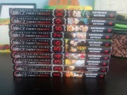 Miecz Zabójcy Demonów tomy 1-10