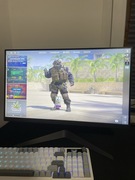 LG UltraGear 24GS50F-B