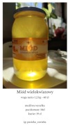 Miód wielokwiatowy zbiór 2025