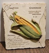 Śliczny obrazek z alabastru 