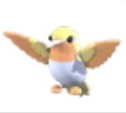 Golden Hummingbird - Adopt Me Roblox