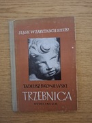 Trzebnica - Śląsk w zabytkach