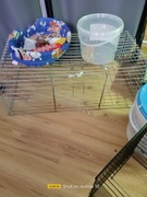 Klatka bez dna szer.39 długość 84