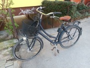 Stylowa i Niezawodna CORTINA – Komfortowy Rower Miejski (Nexus 5, Schwalbe)