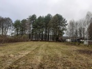 Przyjmę Ziemię z Wykopu