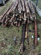 Stemple budowlane drewniane 3-3,10m długość 120 szt. Solidne grubeCena 1szt