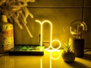 NEON KOZIOROŻEC CAPRICORN ZNAKI ZODIAKU HOROSKOP lampa dekoracja