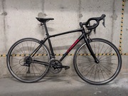 Rower szosowy TREK Domane AL2 rozm. 54